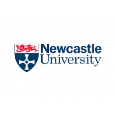Executive Master of Business Administration EMBA - Newcastle University